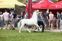 E34_1227 2026