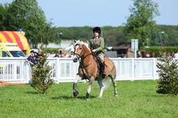 F33_0441 2026