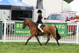 71 RIHS Show Pony First Ridden