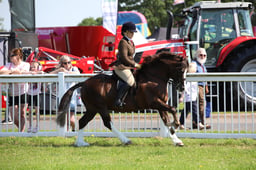W33_1064 2026