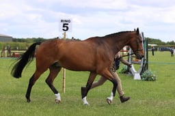J36_7809 2026