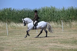 S60_0585 2026