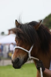 E34_2820 2026