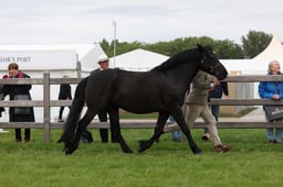 W29_0753 2026
