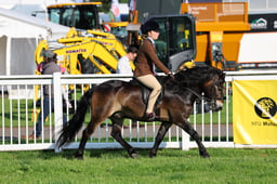 H33_3576 2026