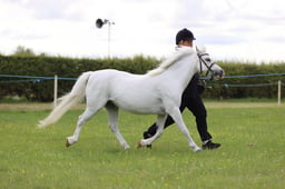 J36_5963 2026