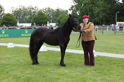 W29_0858 2026