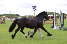 J36_5929 2026