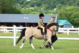 Z41_0356 2026