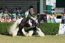 S61_0387 2026