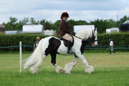 H36_7843 2026