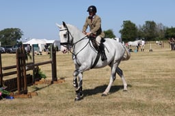 E60_0493 2026