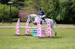 307 COEVERS MOON DANCER