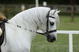 E30_4386 2026