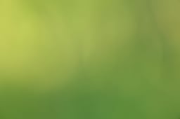 E68_6285 2026
