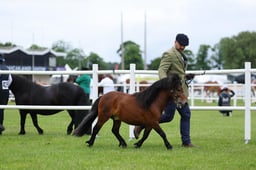 H44_0139 2026