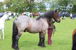 J36_5989 2026