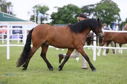 E45_0542 2026