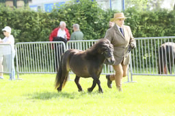 E34_0570 2026