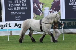 M44_0179 2026