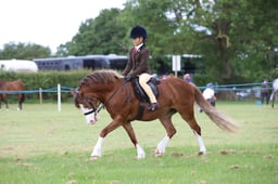W36_0598 2026