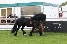 W29_0875 2026
