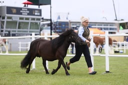 E44_0554 2026