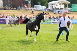 E69_1053 2026