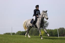 C26_1042 2026