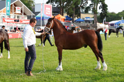 E69_0535 2026