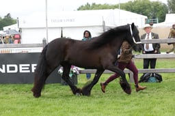 W29_0883 2026