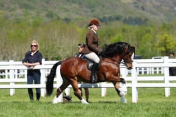 H19_0457 2026