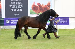 M44_0573 2026