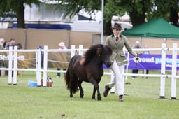 E44_1512 2026