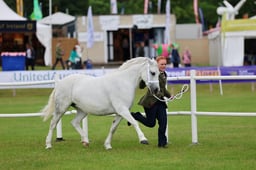 C45_1504 2026