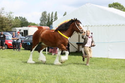 E36_1382 2026