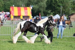 C34_0550 2026
