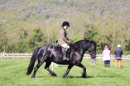 C19_0697 2026