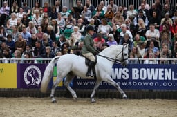 M&M Ridden Connemara Pony of the Year