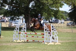 410 Sir Alfred