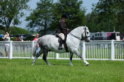F34_1709 2026