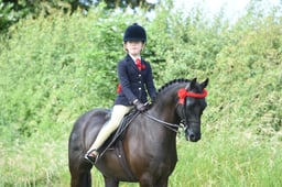 02 Show & Show Hunter Pony