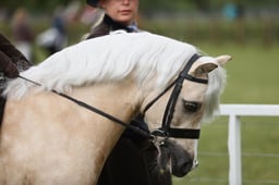 E30_3556 2026