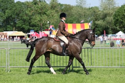 C33_0794 2026
