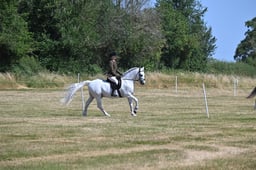 S60_0622 2026