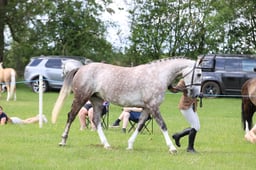 J36_6905 2026