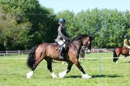 M19_0798 2026