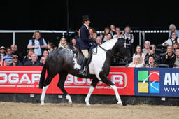 Coloured Horse & Pony of the Year Championships