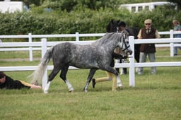 M41_1627 2026