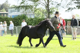 E34_0968 2026